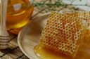 асалари оиласи