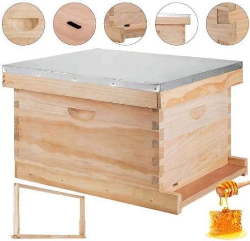 Ассалари қутиси — 1