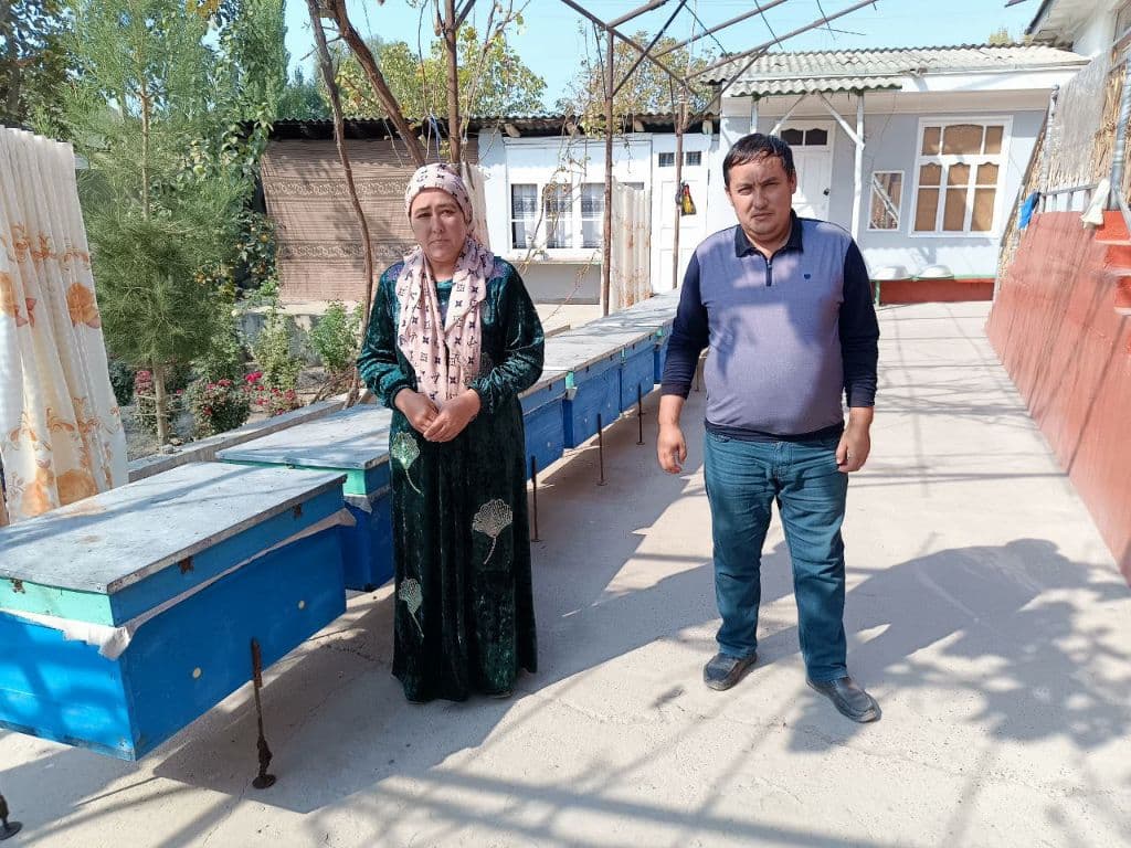 асал ари оиласи