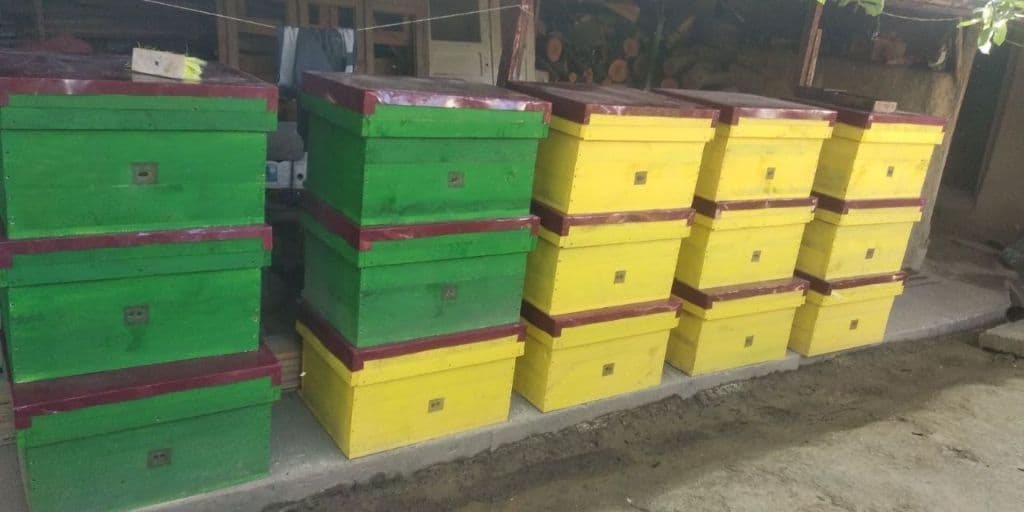 Asalari oilasi — 1