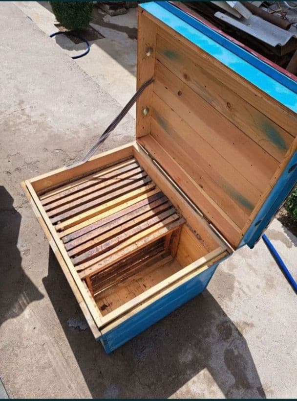 Асалари оиласи — 1