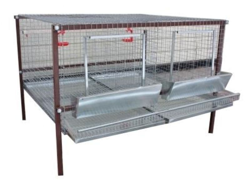 PARRANDA UCHUN KATAK — 1