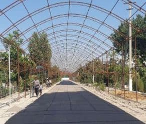 Naves (uzum uchun) — 1