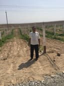 ТОКЗОРЛАР ҚУРИБ БЕРИШ ХИЗМАТИ