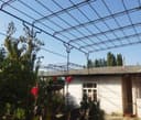 Uzum so'rtak