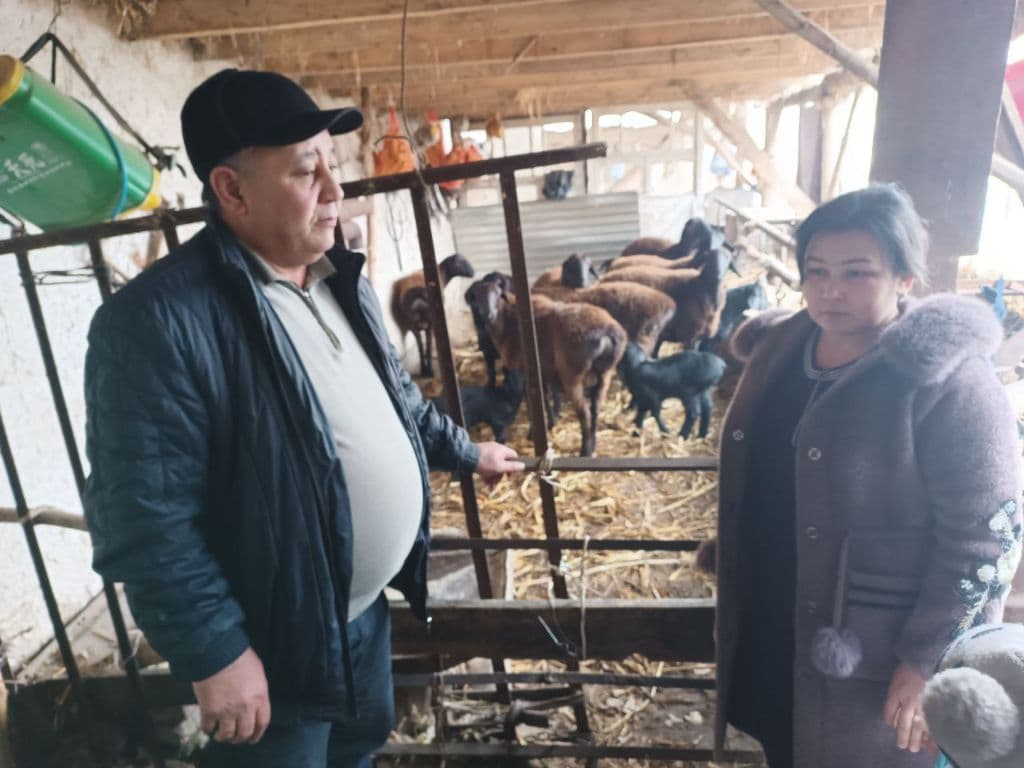 тирик куй — 1