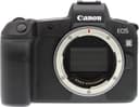 Canon R body