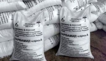 Fosforli Mineral o'g'itlar — 1