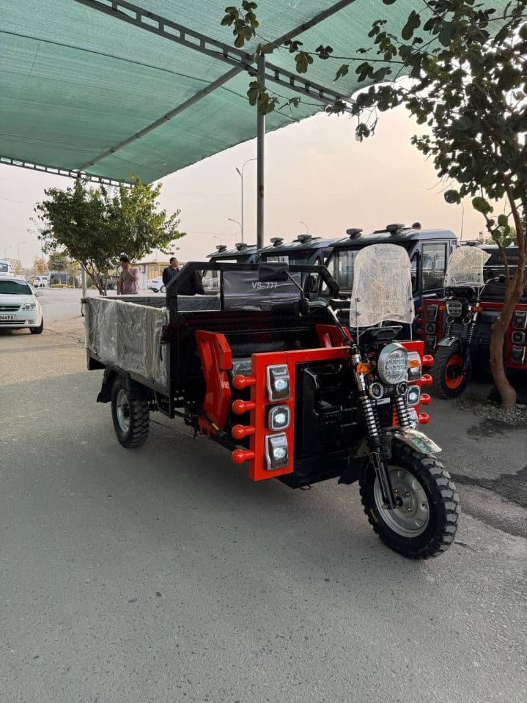 elektiro muraviy — 1