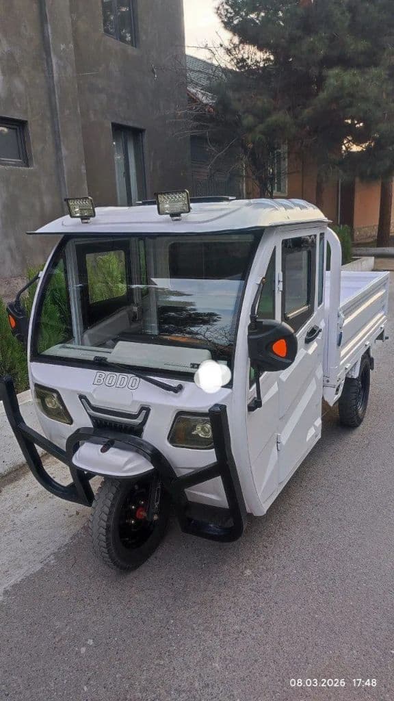 Uch g'ildirakli yuk motorolleri — 1