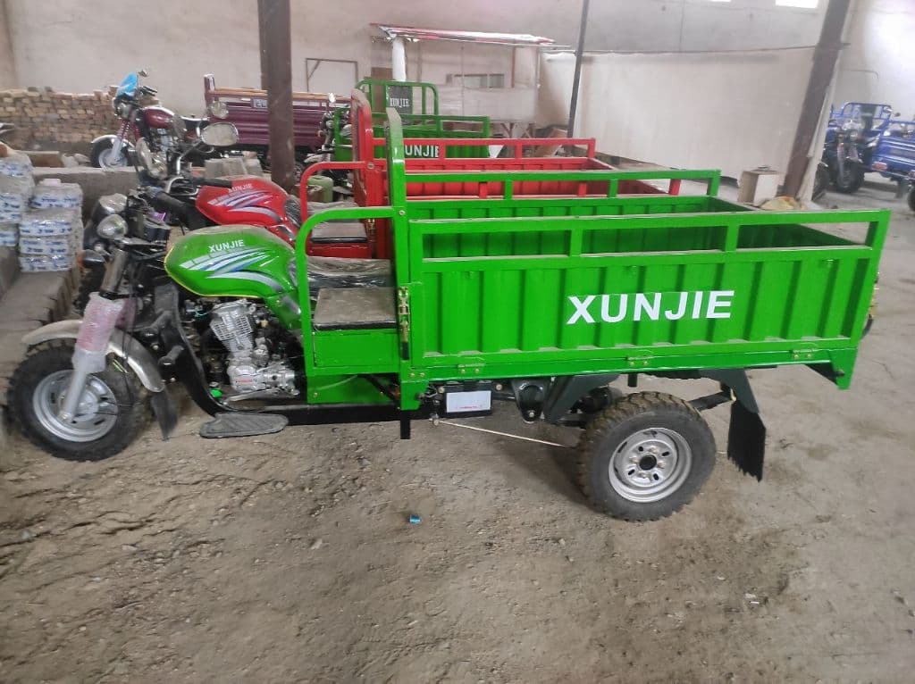 Муравей XUNJIE — 1