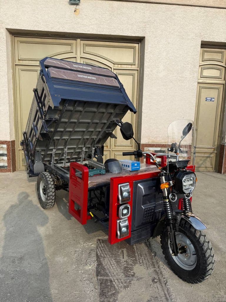 Moto ledir — 1