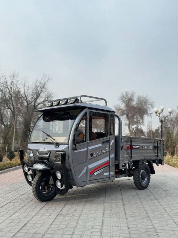 CAVALO MOTORS — 1