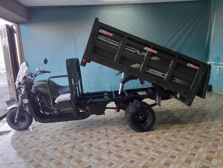 ALP MOTORS LLC - 200 — 1