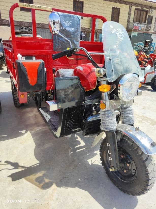 ALP MOTORS LLC - 200 — 1