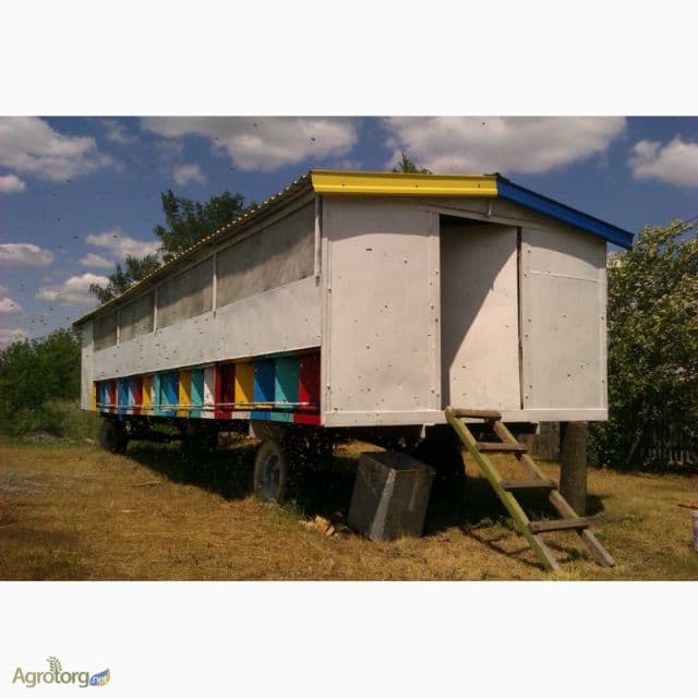 Асалари тиркамаси (павилион) — 1