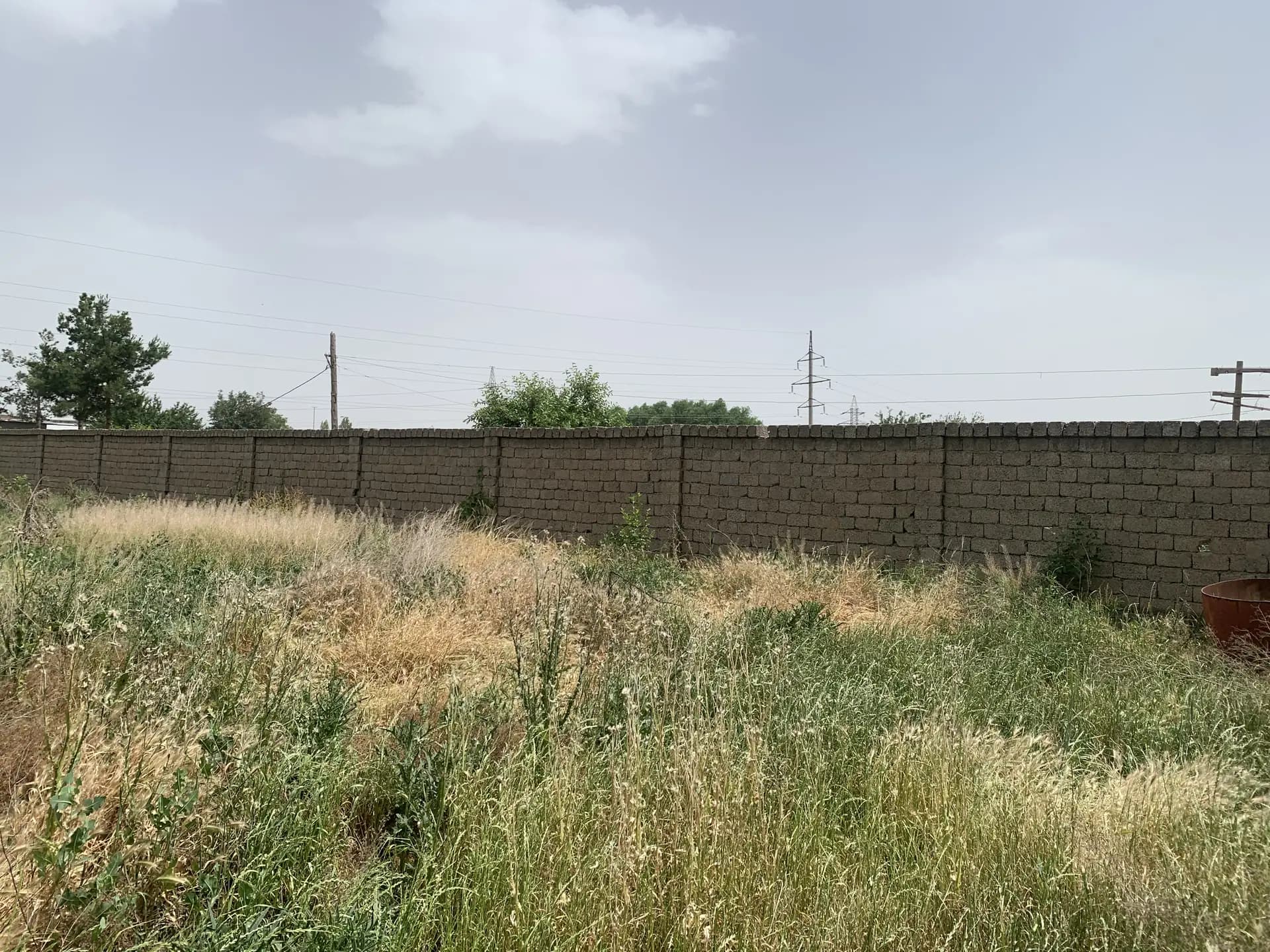 Nazarbek 32.2 sotih 3 hona 20 ta mol yoki ot boqishga sharoiti bor ferma qisayam bo’ladi — 1