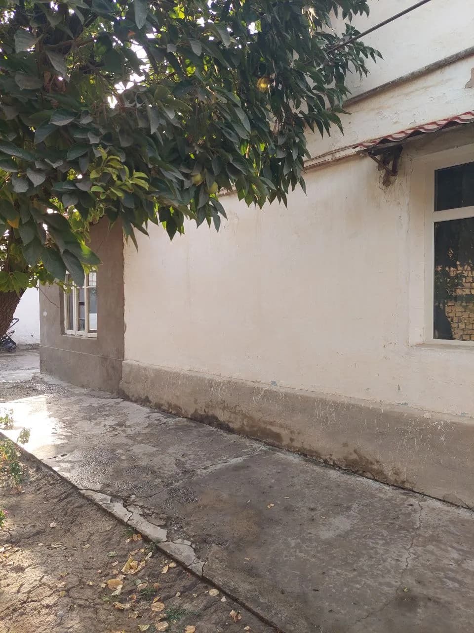 Продам дом в совхозе. — 1