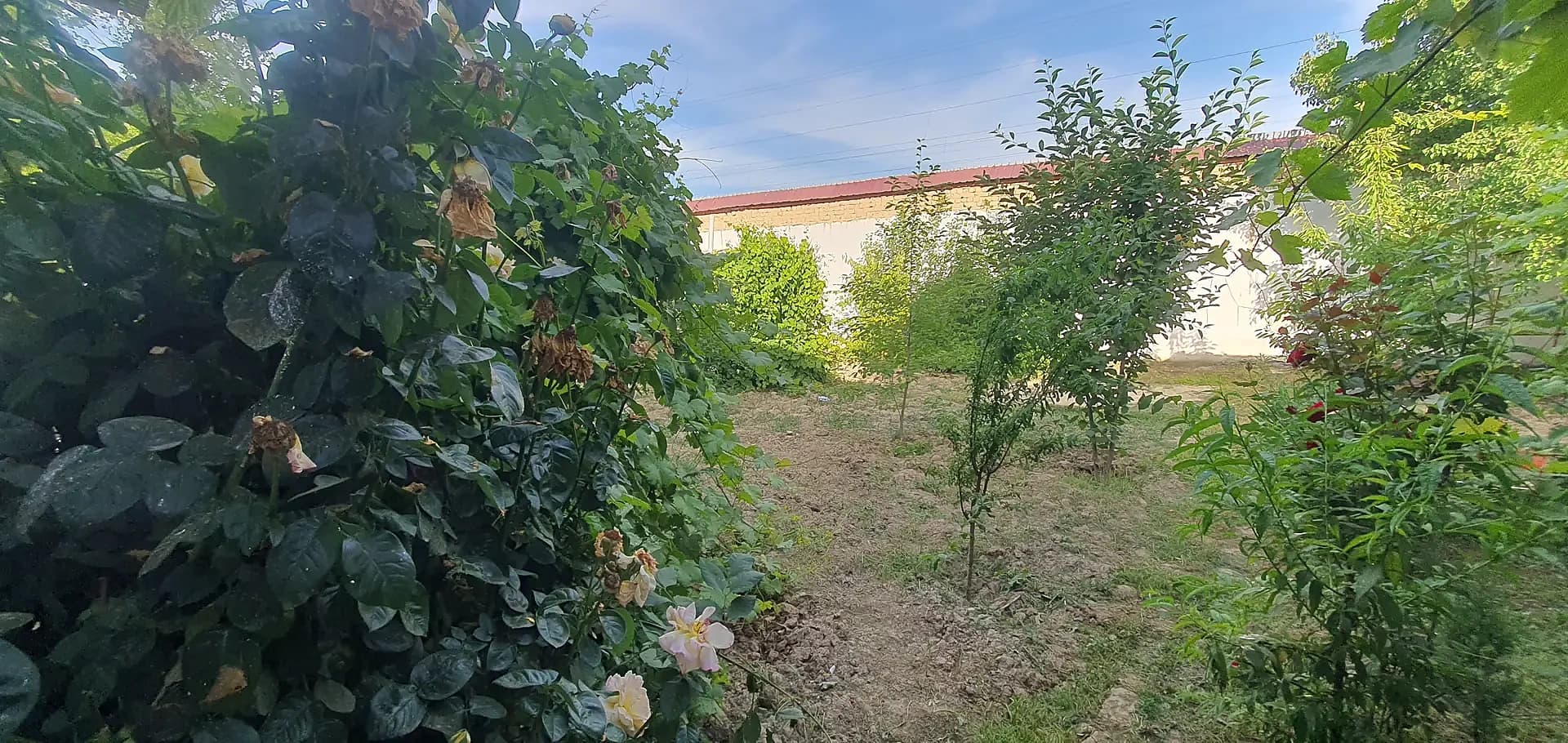 Хавас карзинка ва бошка бизнеслар учун бино куришга жой сотилади