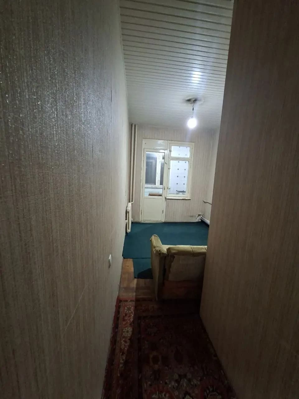 Кора камиш 1/32/2/4300y.e. — 1