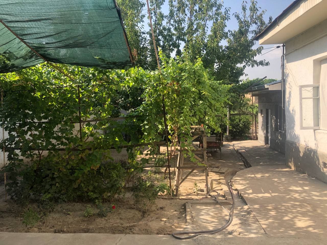 Кибрай тумани Чимкент йу’ли кучаси — 3