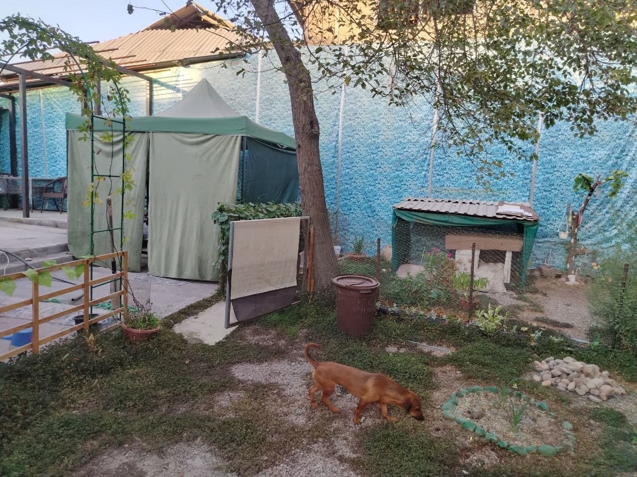 г. Ахангаран. Продаётся Дом. — 5