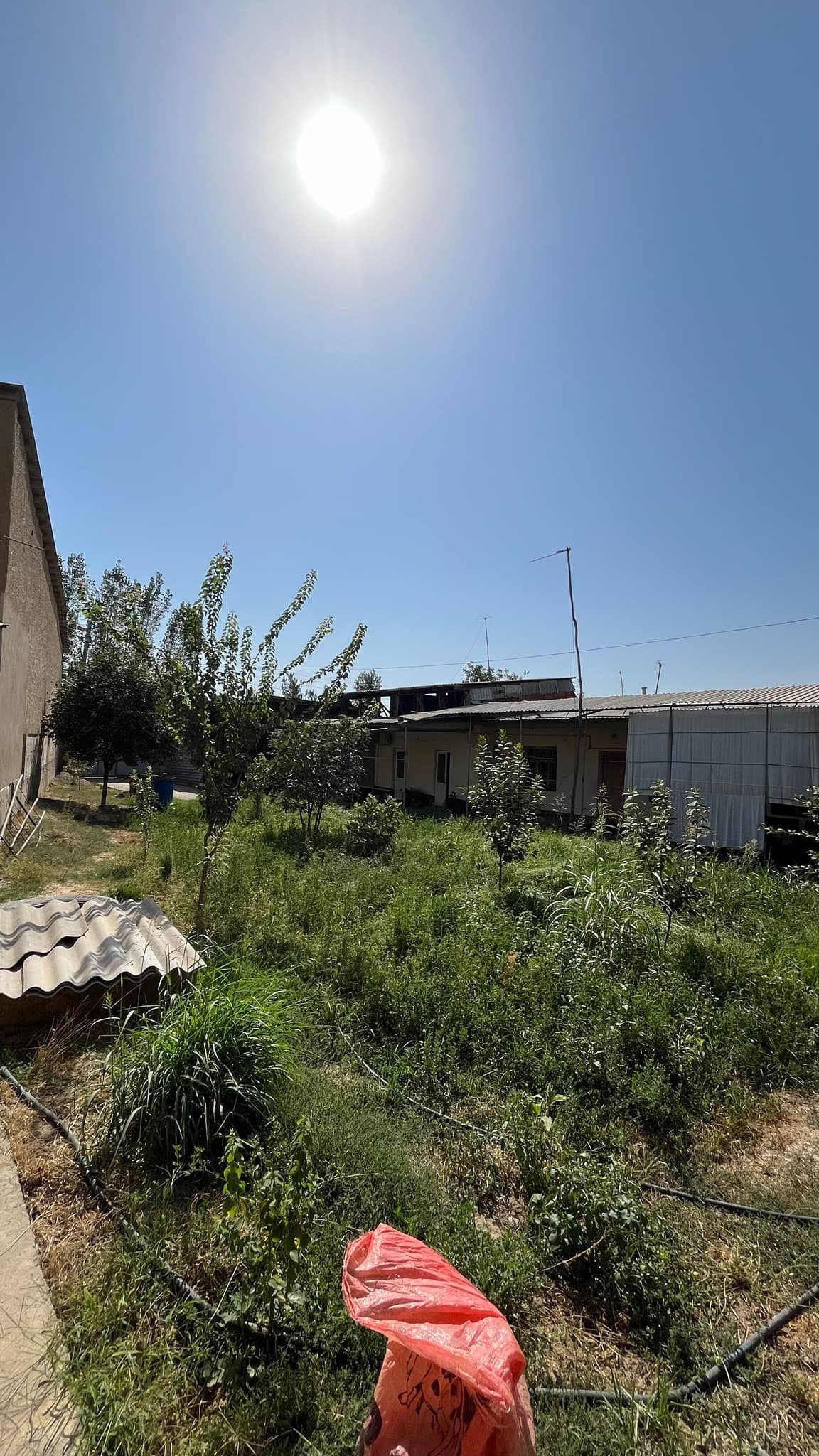 Zangiotada 6,92 sotixli hovli uy sotiladi — 4