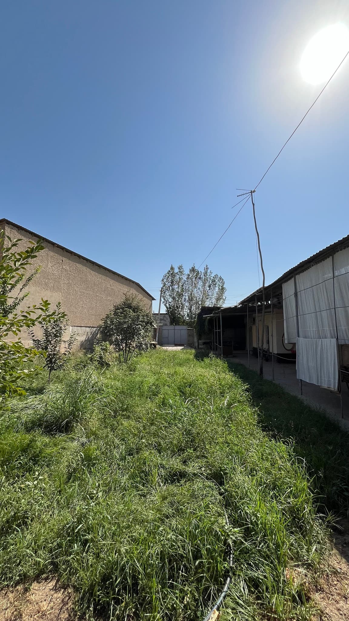Zangiotada 6,92 sotixli hovli uy sotiladi — 5
