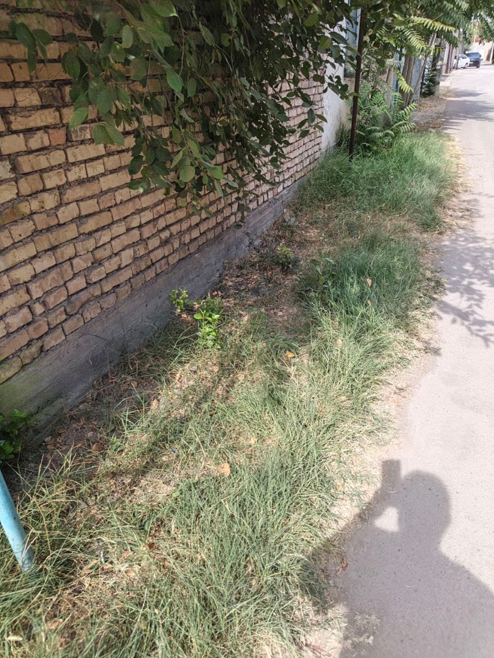Продажа дома корасув Шур тепа — 2