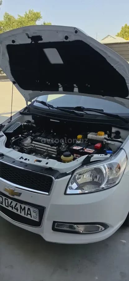 Chevrolet Nexia 3, 2 позиция 2019 — 4