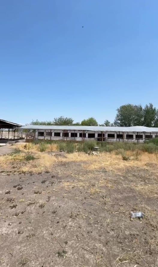 ПРОДАЁТСЯ 73 СОТКИ + 922 М² ЗДАНИЙ. ЮКОРИЧИРЧИК — 4