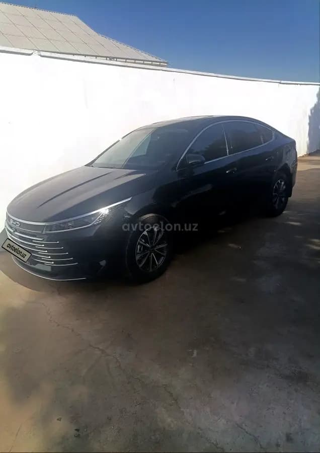 BYD Chazor 2024 — 1