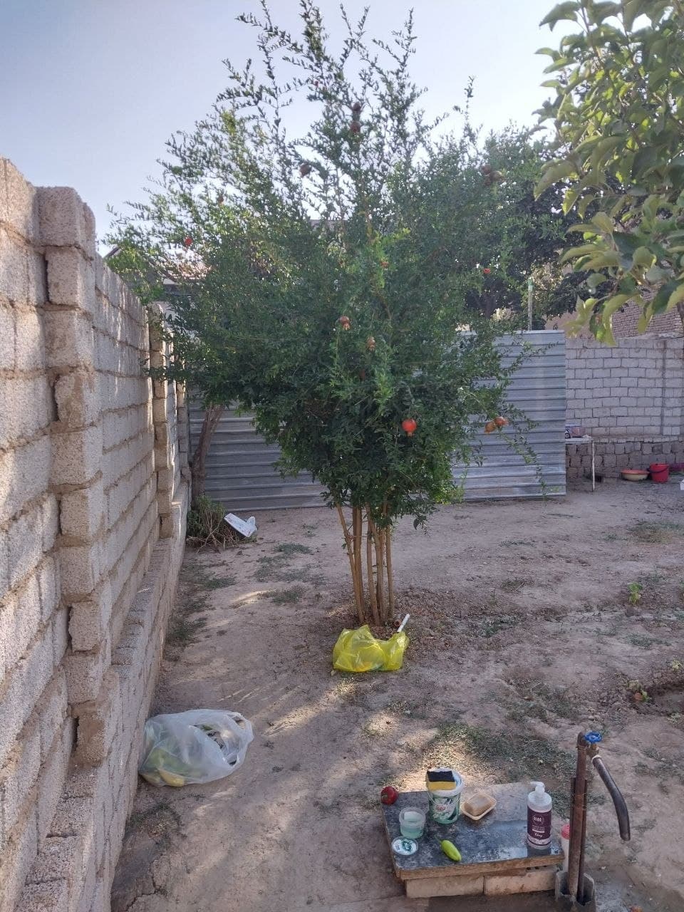 Hovli sotiladi — 2