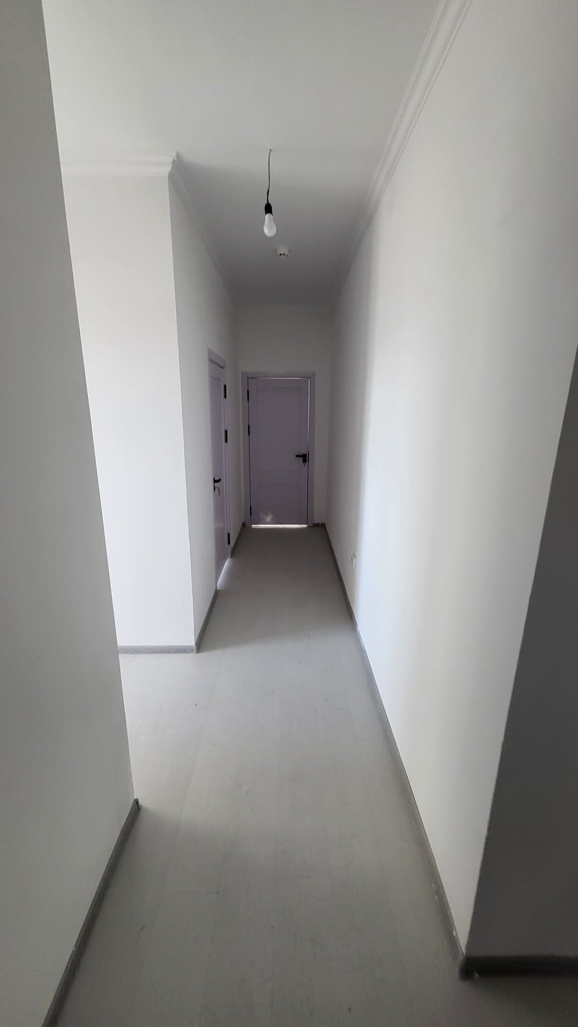 Sergili bitonka — 2