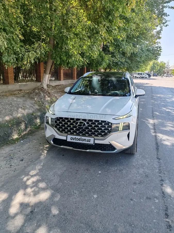 Hyundai Santa Fe 2021 — 5