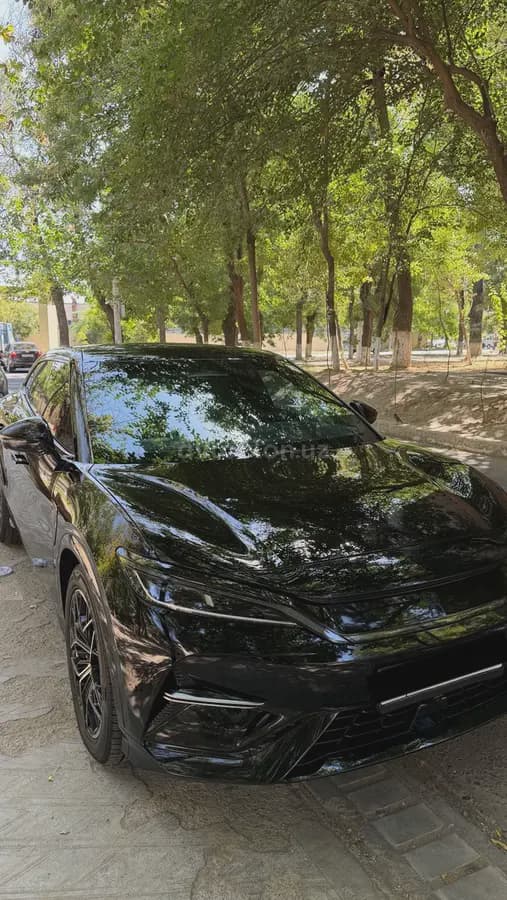 BYD Song L 2024 — 5