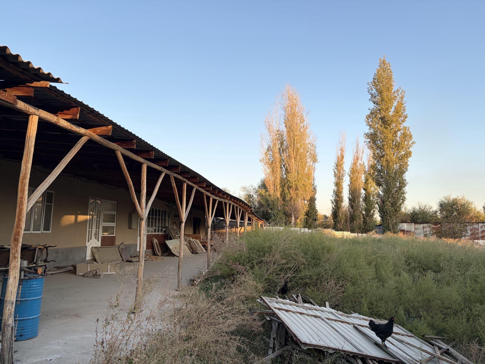 Arendaga beriladi — 1
