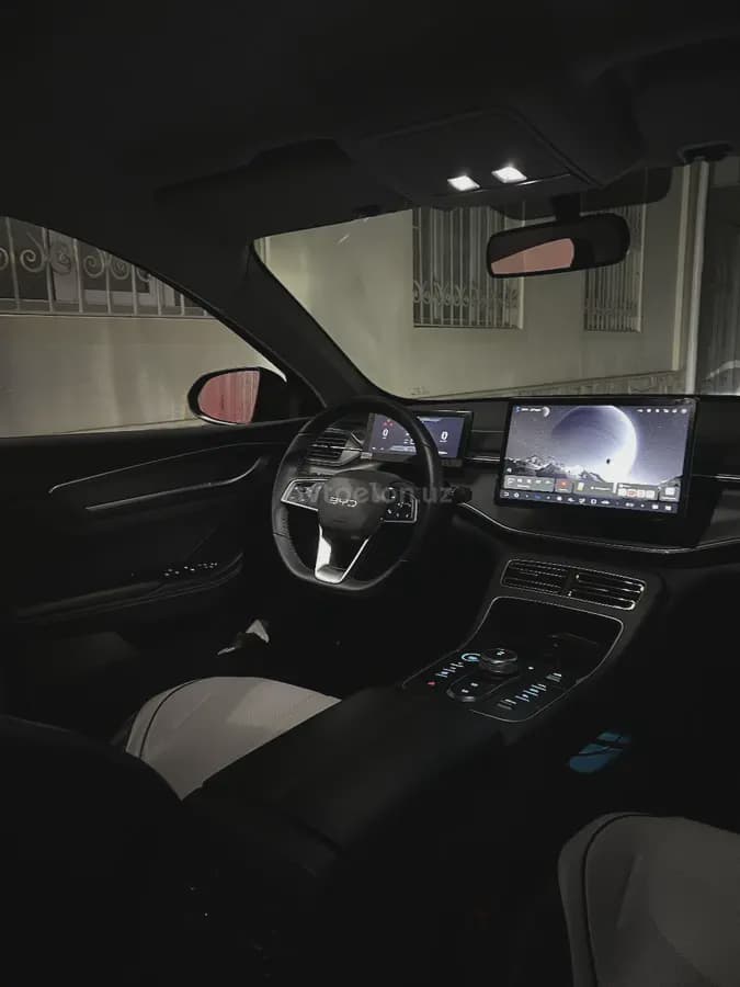 BYD Chazor 2024 — 4