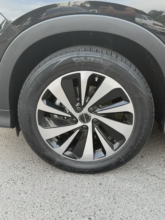 BYD Song Plus EV Champion 2024 — 4