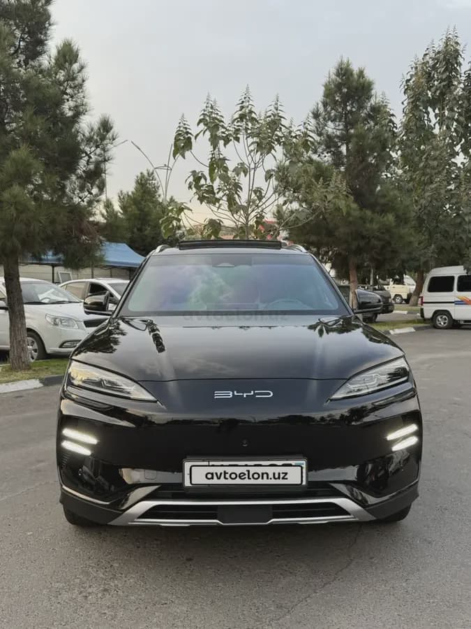 BYD Song Plus EV Champion 2024 — 5