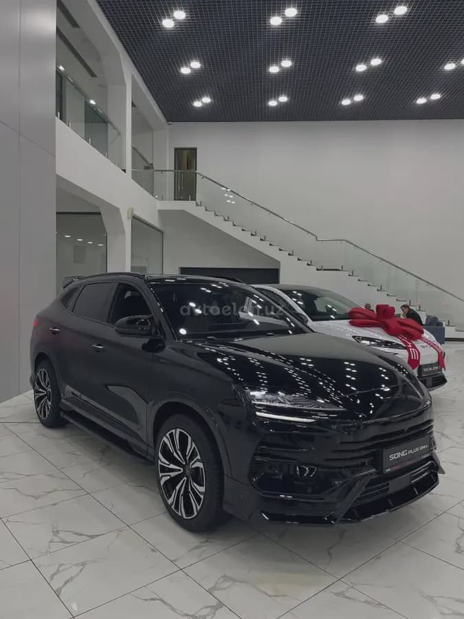 BYD Song Plus DM-i Champion 2026 — 3