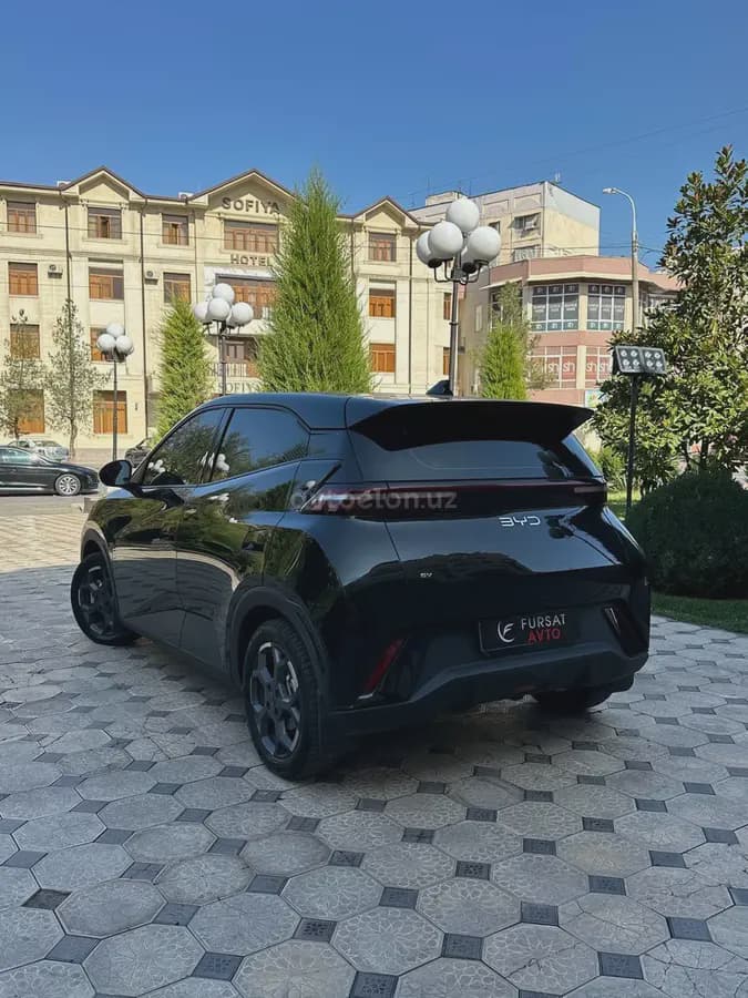 BYD Seagull 2024 — 3