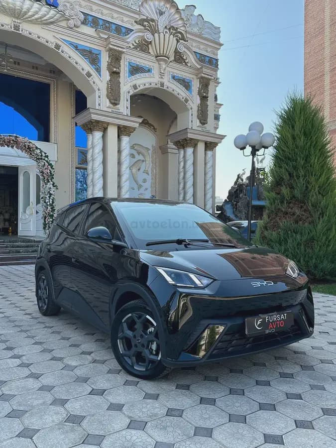 BYD Seagull 2024 — 5