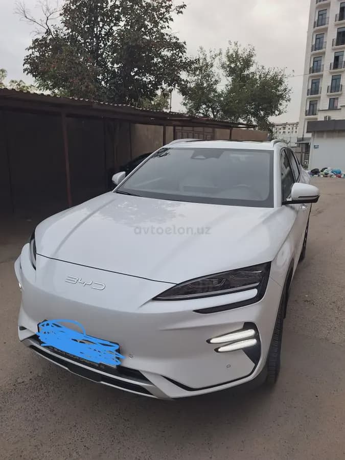 BYD Song Plus EV Champion 2024 — 2