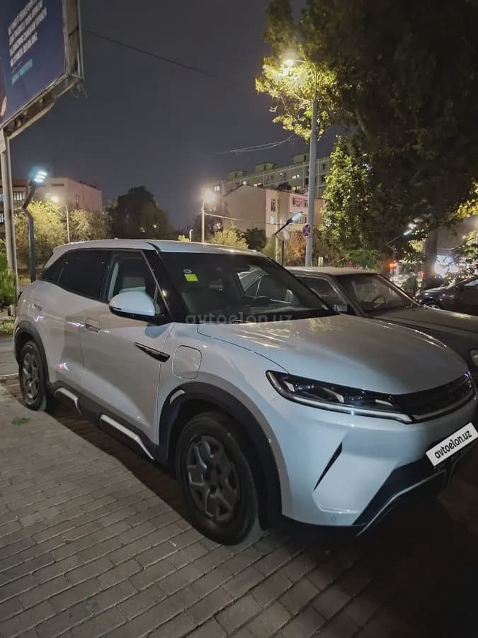 BYD Yuan UP 2024 — 2