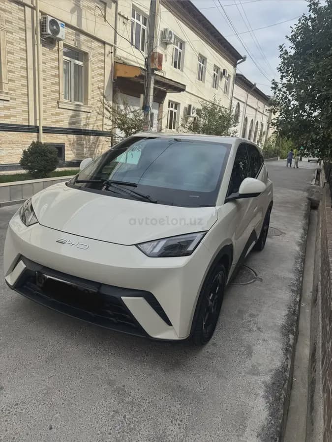 BYD Seagull 2023 — 1