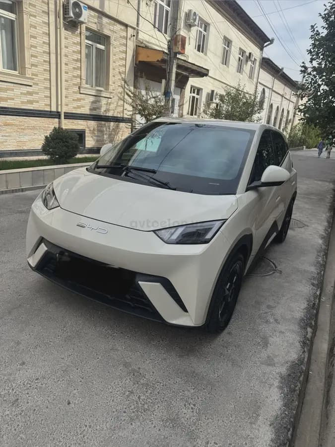 BYD Seagull 2023 — 2