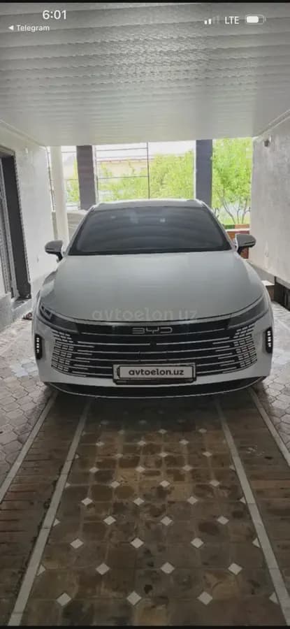 BYD Chazor 2024 — 2