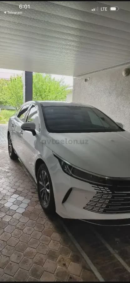 BYD Chazor 2024 — 4