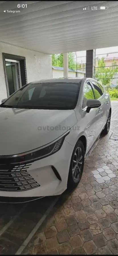 BYD Chazor 2024 — 5